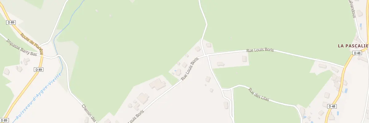 Plan du 555 Rue Louis Boris à Saint-Laurent-les-Tours