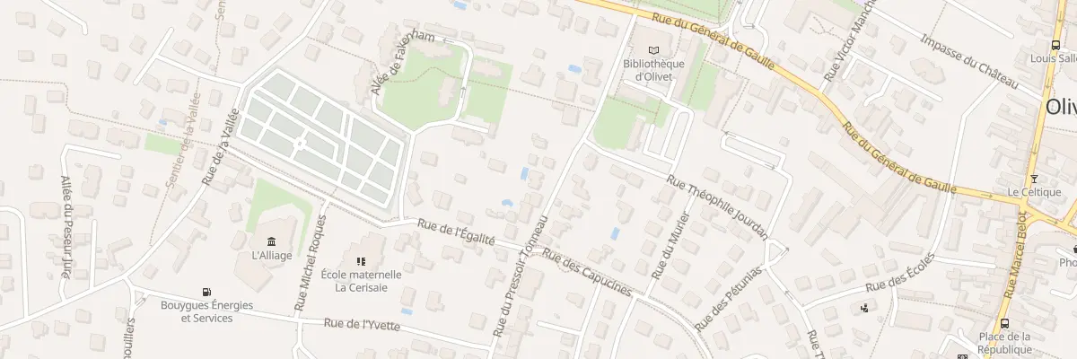Plan du 164 Rue du Pressoir Tonneau à Olivet