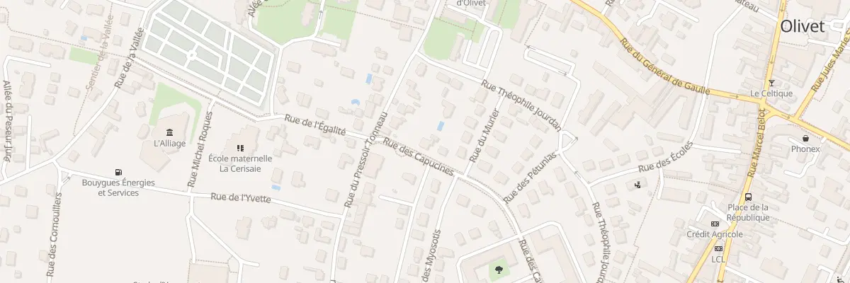 Plan du 364 Rue des Capucines à Olivet