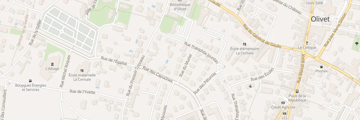 Plan du 48 Rue du Mûrier à Olivet