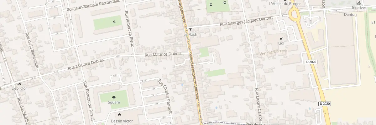 Plan du 255 Rue du Faubourg Bannier à Orléans