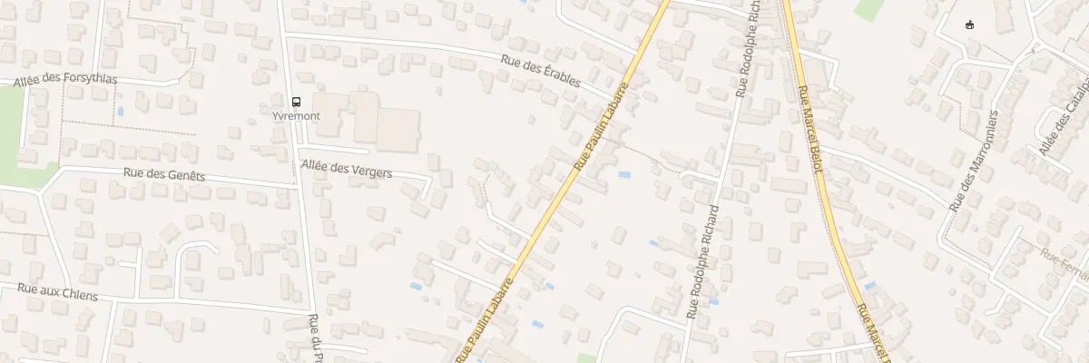 Plan du 384 Rue Paulin Labarre à Olivet