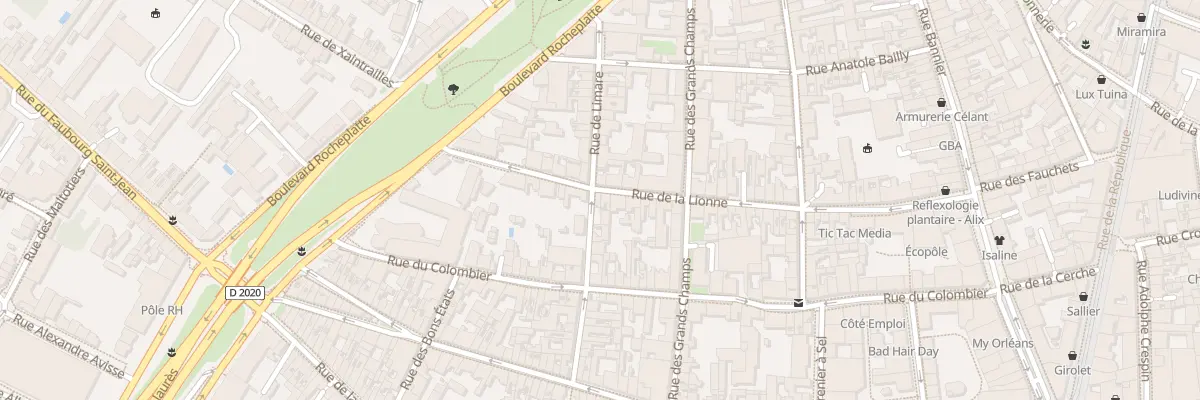 Plan du 53 Rue de la Lionne à Orléans