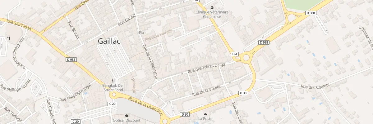 Plan du 43 Rue des Frères Delga à Gaillac