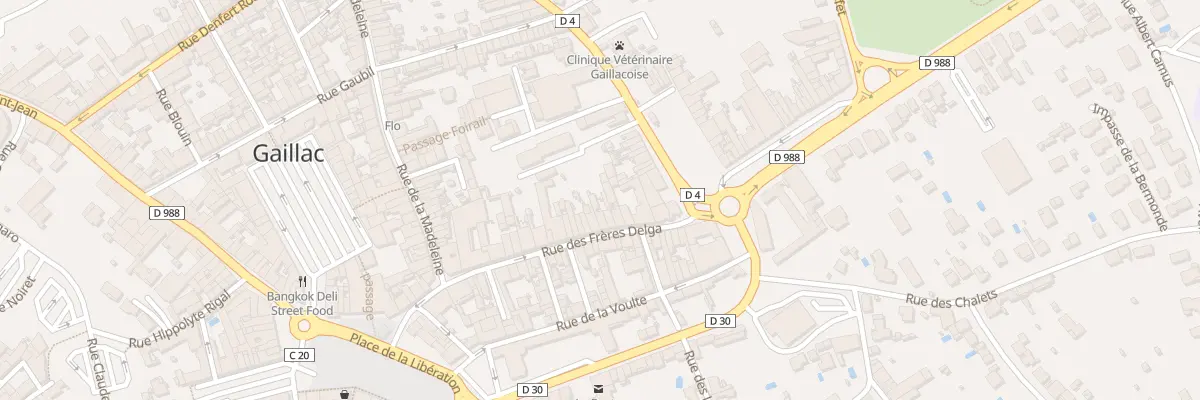 Plan du 65 Rue des Freres Delga à Castanet