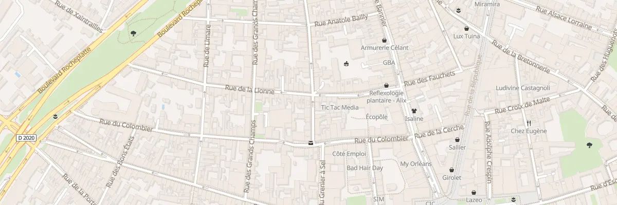 Plan du 9 Rue du Boeuf Saint Paterne à Orléans