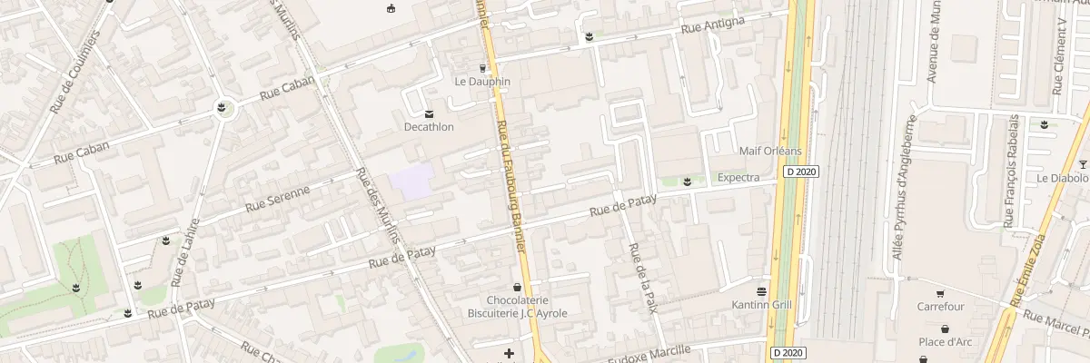 Plan du 36 Rue du Faubourg Bannier à Orléans