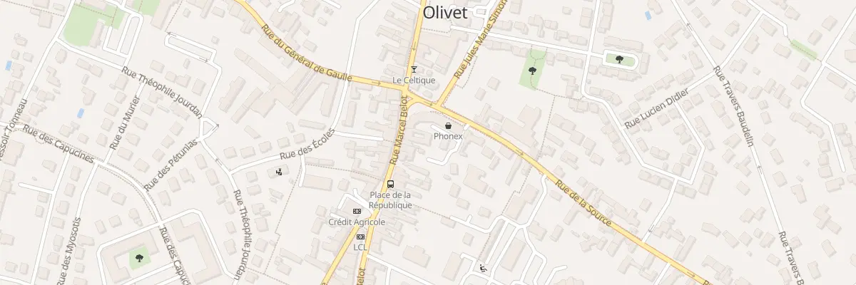 Plan du 419 Rue Marcel Belot à Olivet