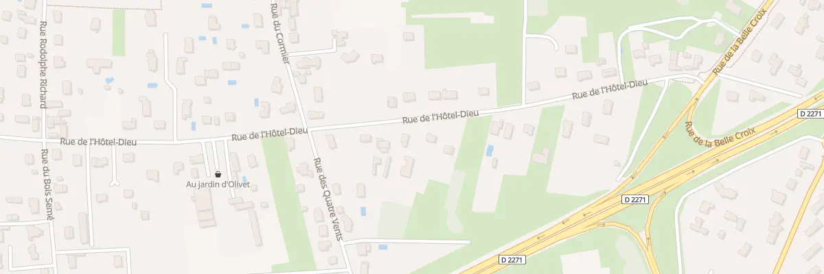 Plan du 507 Rue de l’Hôtel Dieu à Olivet