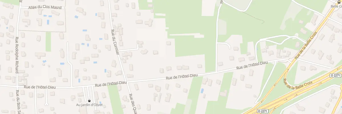 Plan du 490 Rue de l’Hôtel Dieu à Olivet