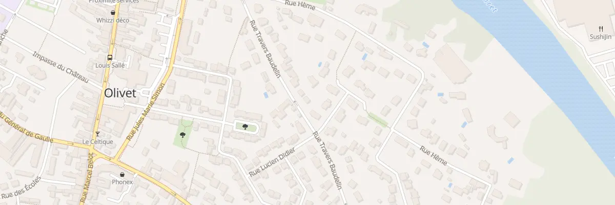 Plan du 211 Rue Travers Baudelin à Olivet