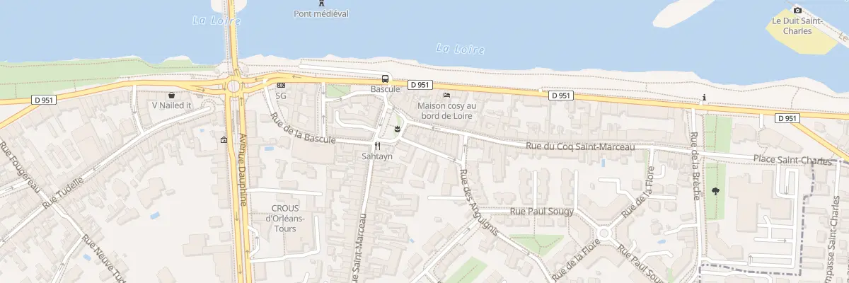 Plan du 1B Rue des Anguignis à Orléans