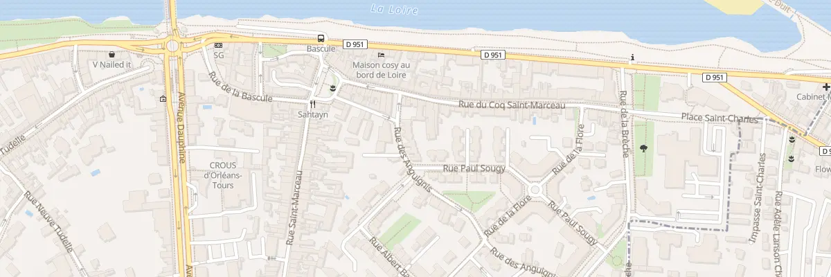 Plan du 7T Rue des Anguignis à Orléans
