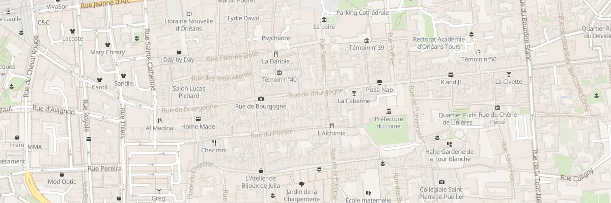 Plan du 219 Rue de Bourgogne à Orléans