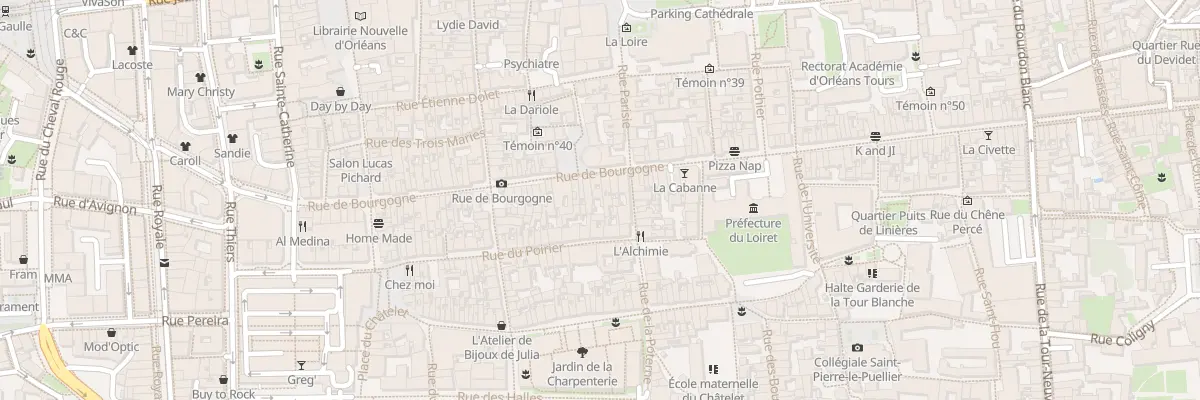 Plan du 217 Rue de Bourgogne à Orléans