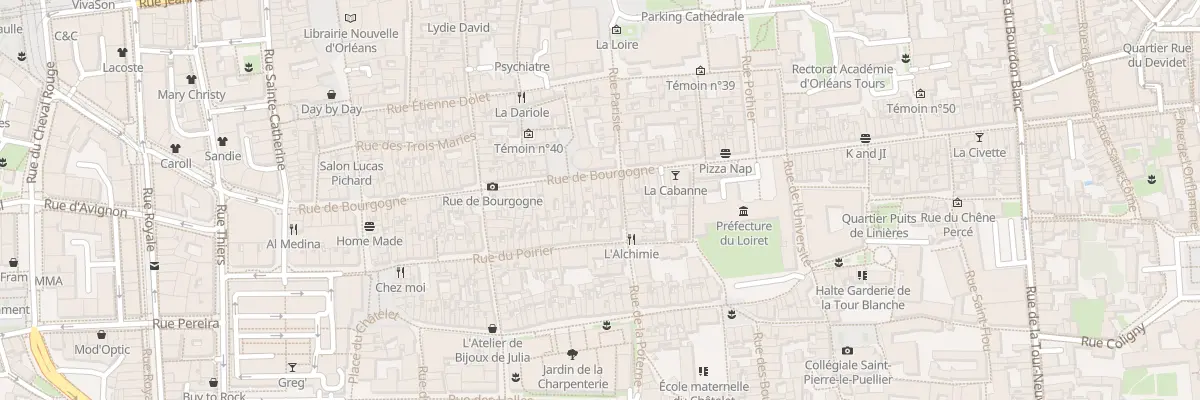 Plan du 215 Rue de Bourgogne à Orléans