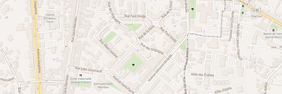 Plan du 16 Rue des Anguignis à Orléans