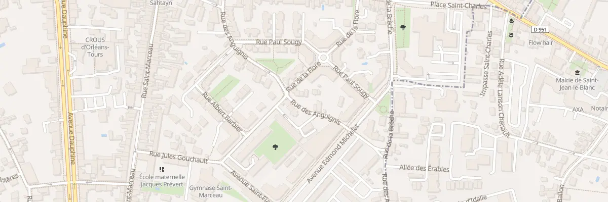 Plan du 11B Rue des Anguignis à Orléans