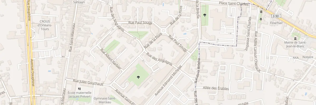 Plan du 11T Rue des Anguignis à Orléans
