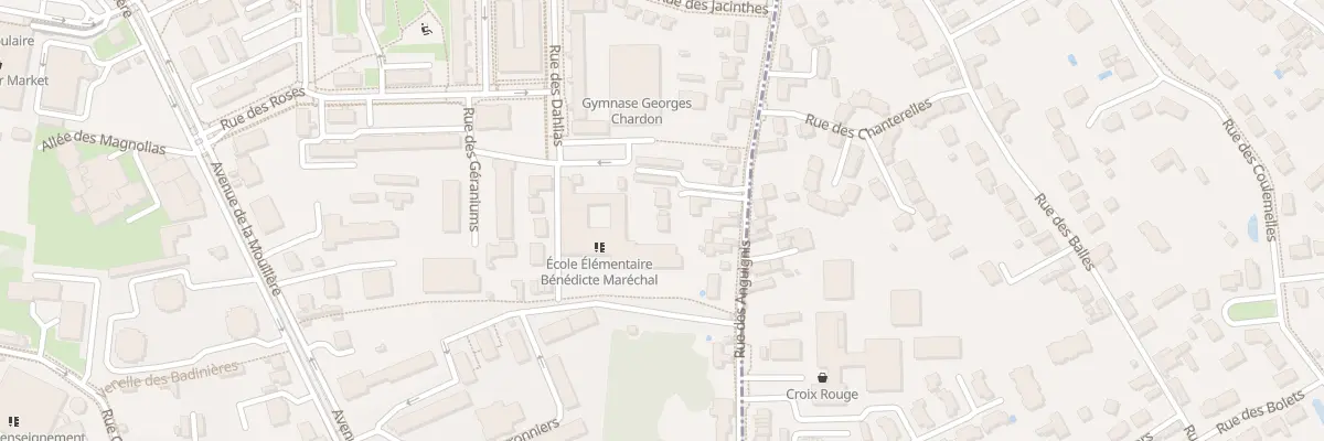 Plan du 112B Rue des Anguignis à Orléans