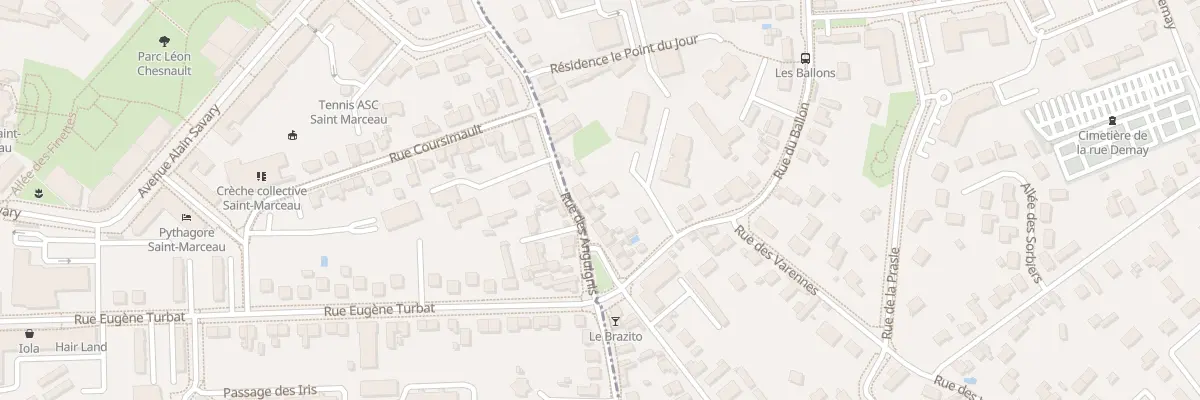 Plan du 41T Rue des Anguignis à Saint-Jean-le-Blanc