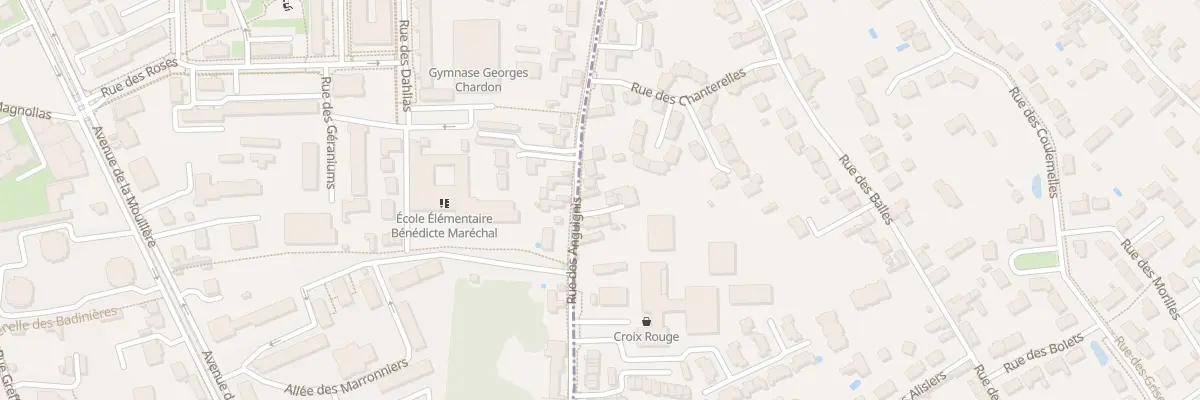 Plan du 63 Rue des Anguignis à Saint-Jean-le-Blanc