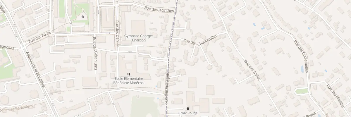 Plan du 61A Rue des Anguignis à Saint-Jean-le-Blanc