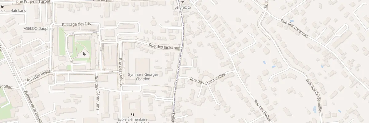 Plan du 55 Rue des Anguignis à Saint-Jean-le-Blanc