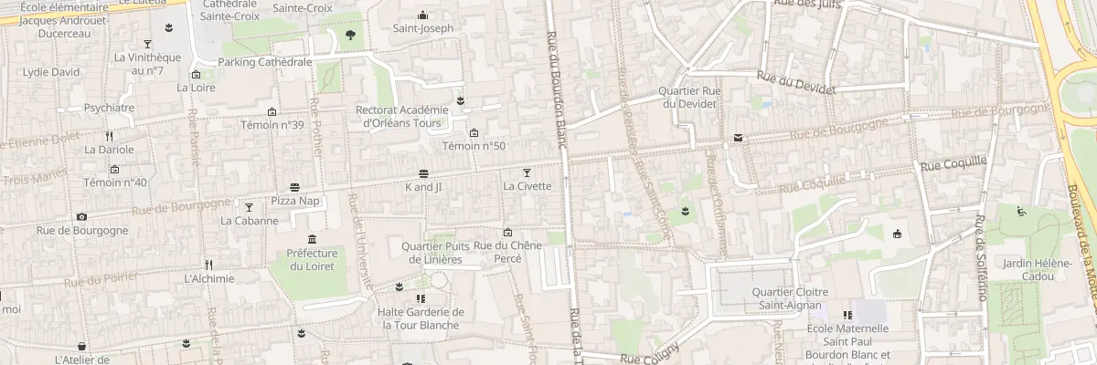 Plan du 119 Rue de Bourgogne à Orléans