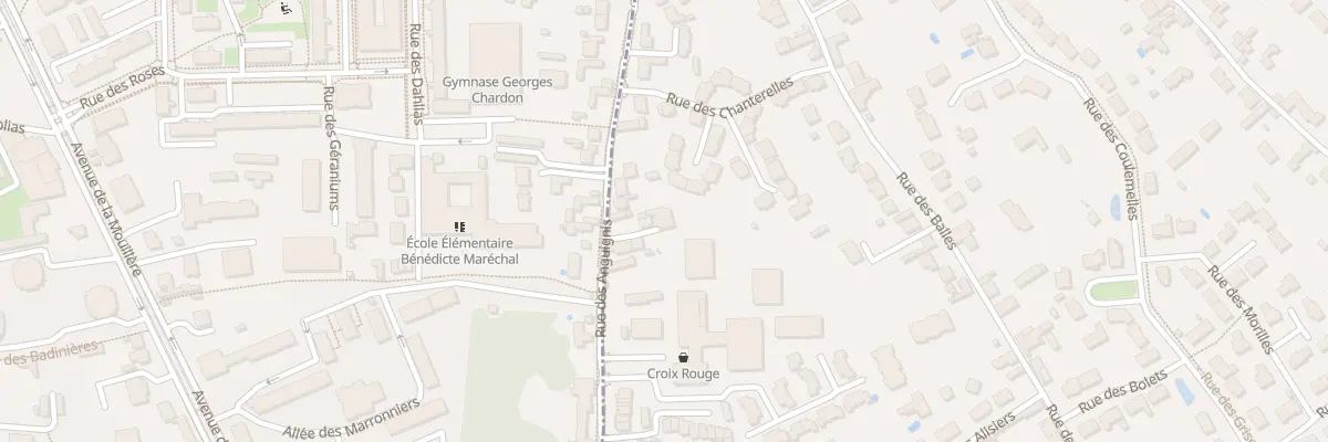 Plan du 63B Rue des Anguignis à Saint-Jean-le-Blanc