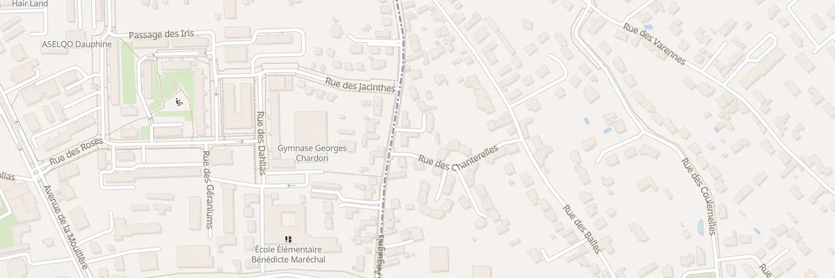 Plan du 59 Rue des Anguignis à Saint-Jean-le-Blanc