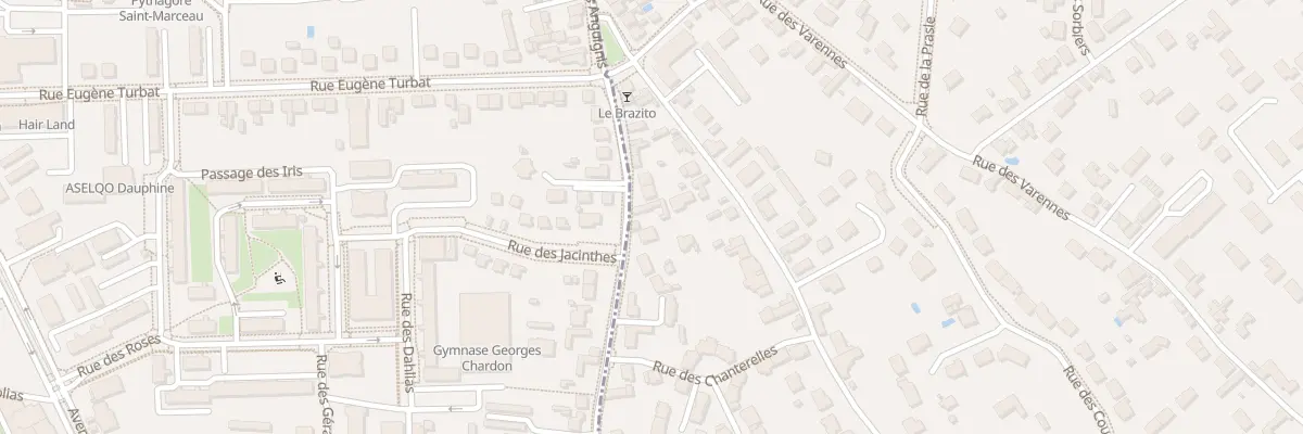 Plan du 49 Rue des Anguignis à Saint-Jean-le-Blanc