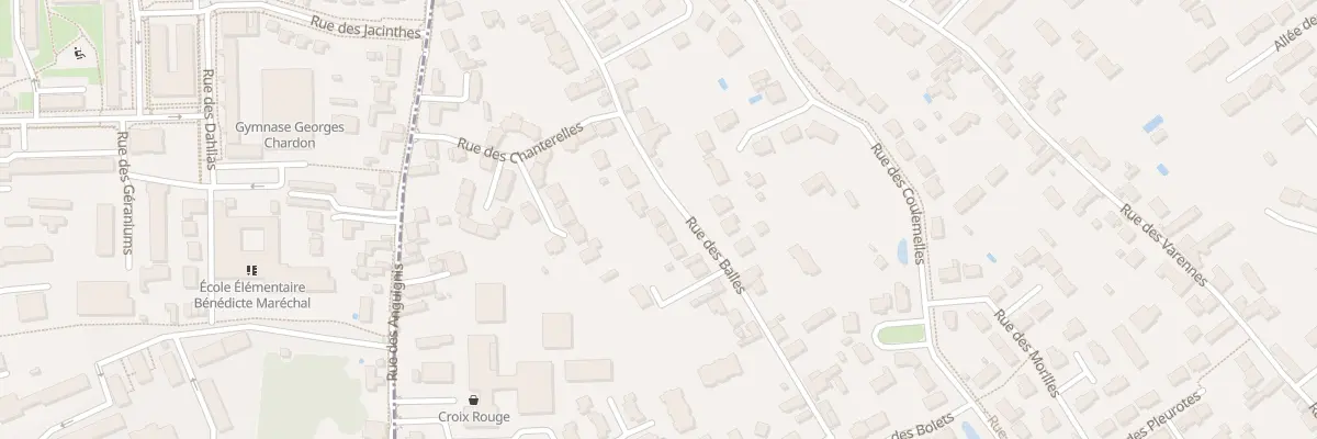 Plan du 28 Rue des Balles à Saint-Jean-le-Blanc