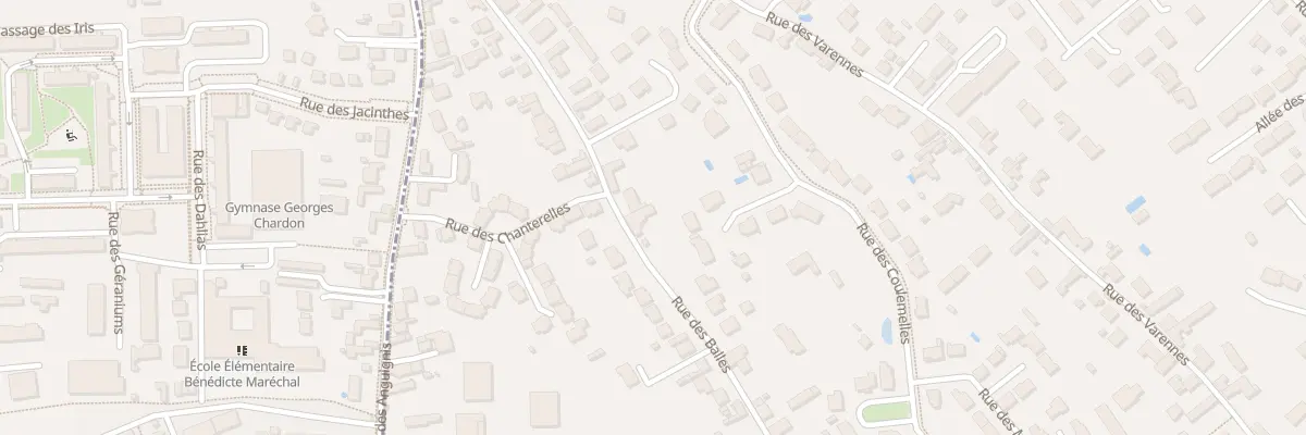 Plan du 29 Rue des Balles à Saint-Jean-le-Blanc