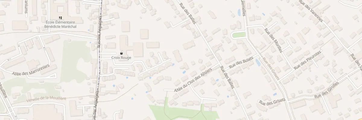 Plan du 42 Rue des Balles à Saint-Jean-le-Blanc