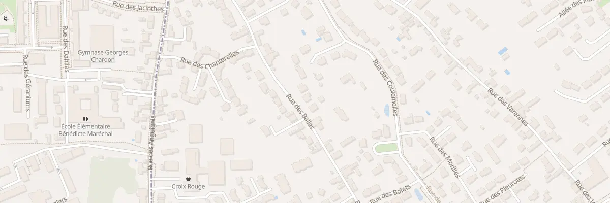 Plan du 33 Rue des Balles à Saint-Jean-le-Blanc