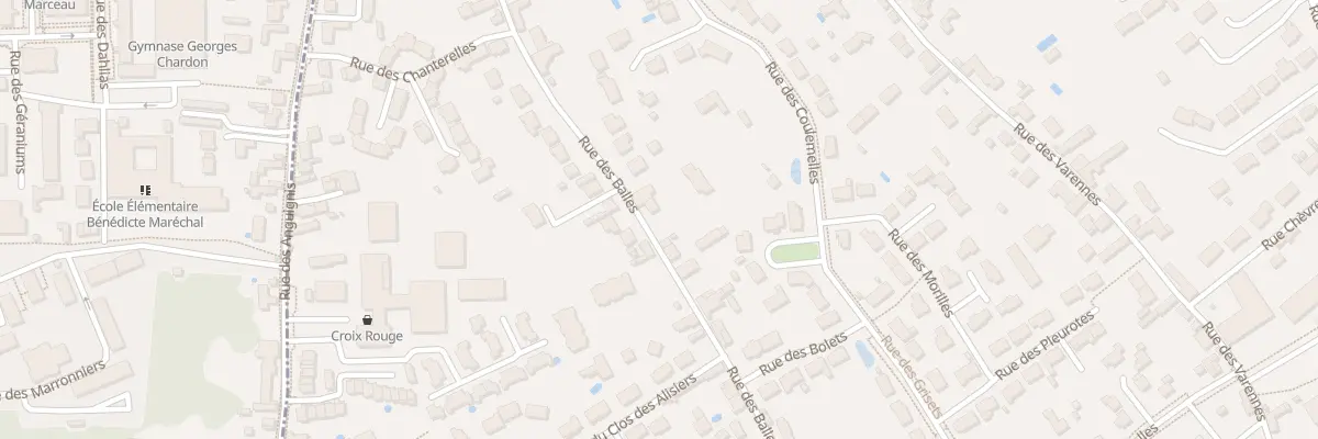 Plan du 37 Rue des Balles à Saint-Jean-le-Blanc