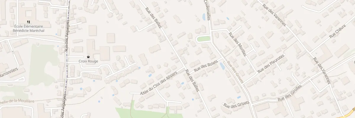 Plan du 44 Rue des Balles à Saint-Jean-le-Blanc