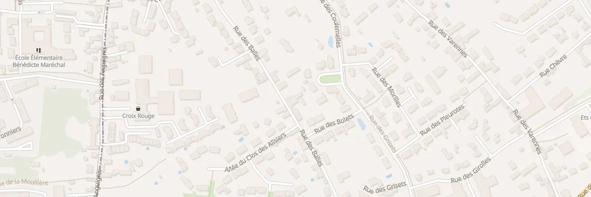Plan du 47 Rue des Balles à Saint-Jean-le-Blanc