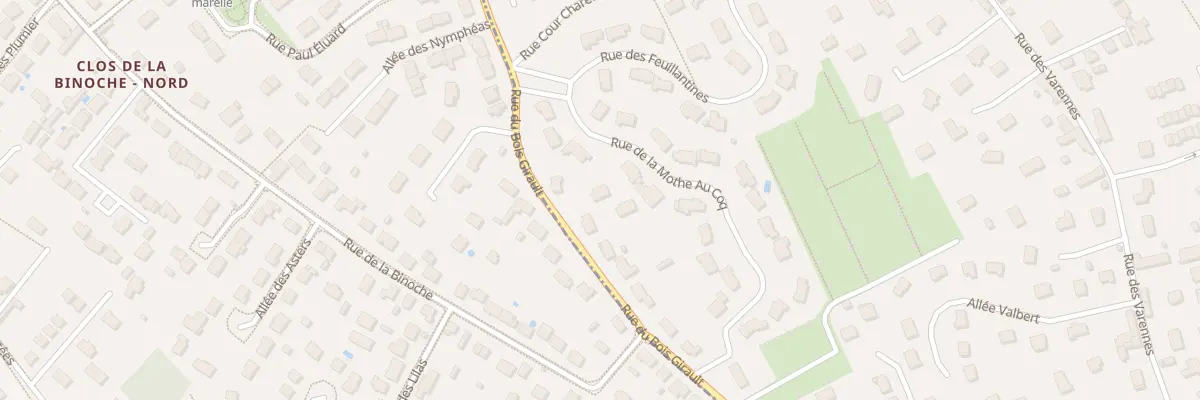Plan du 39 Rue du Bois Girault à Saint-Jean-le-Blanc