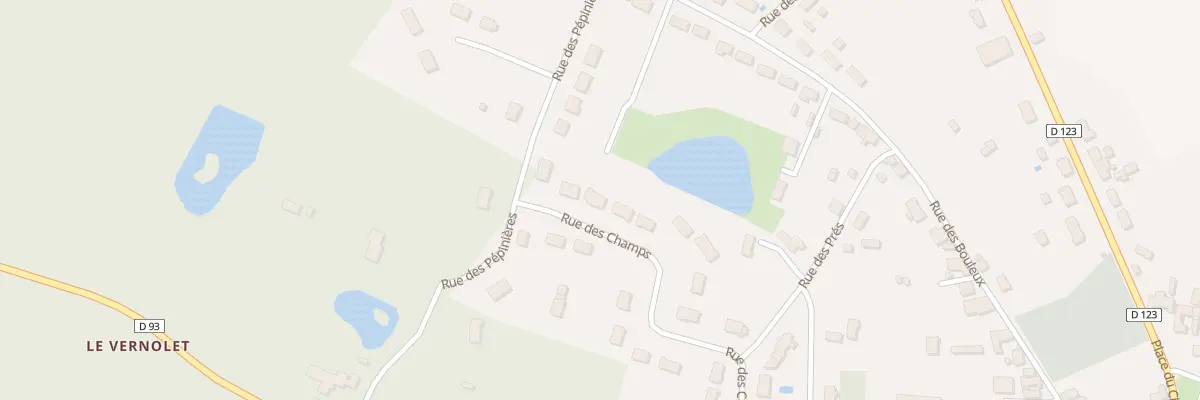 Plan du 35 Rue des Champs à Saint-Viâtre