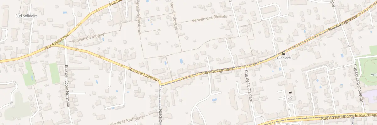 Plan du 29 Rue aux Ligneaux à Orléans