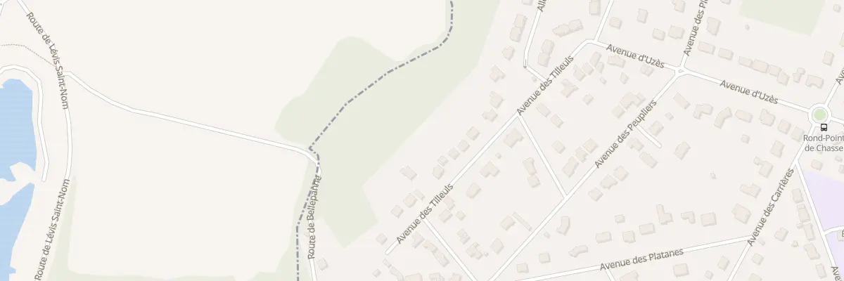 Plan du 14 Av des Tilleuls au Mesnil-Saint-Denis