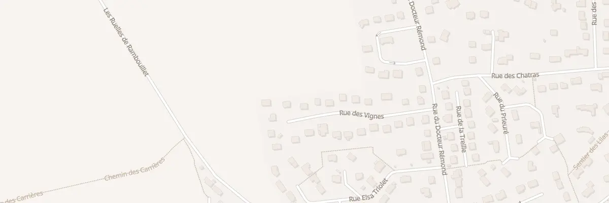 Plan du 19 Rue des Vignes à Saint-Arnoult-en-Yvelines