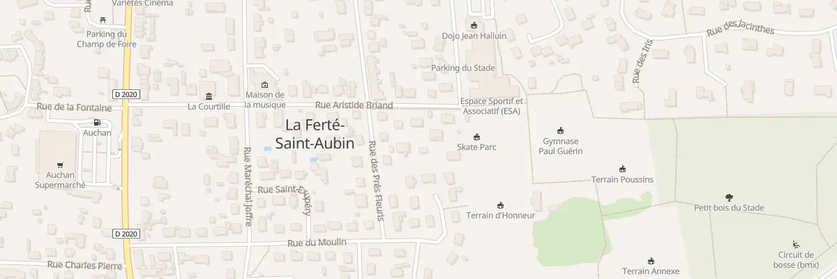 Plan du 20 Rue Aristide Briand à La Ferté-Saint-Aubin