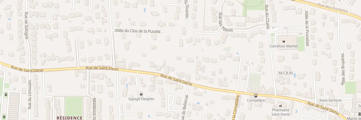 Plan du 558 Rue de Saint-Denis à Saint-Denis-en-Val