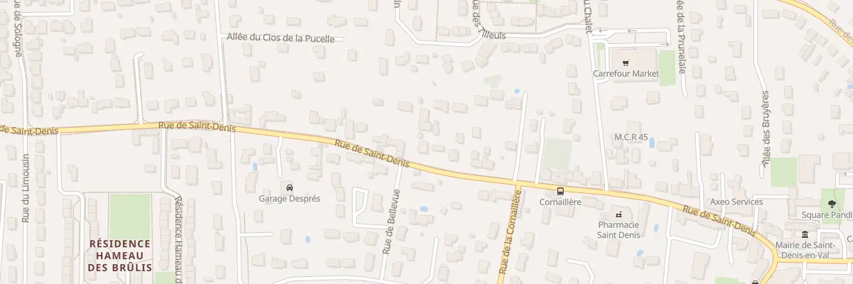 Plan du 498 Rue de Saint-Denis à Saint-Denis-en-Val