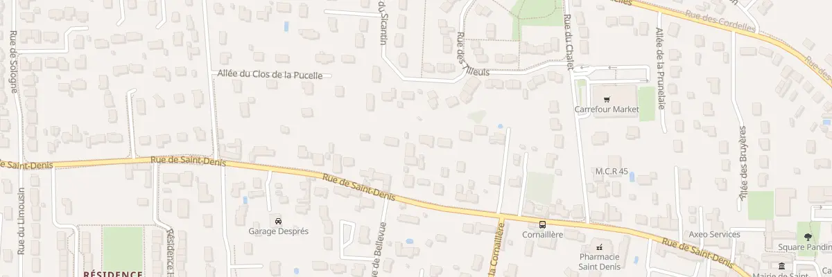Plan du 480 Rue de Saint-Denis à Saint-Denis-en-Val