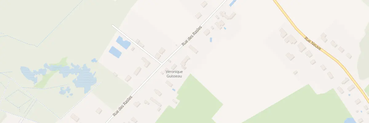 Plan du 292 Rue des Rasles à Chanteau