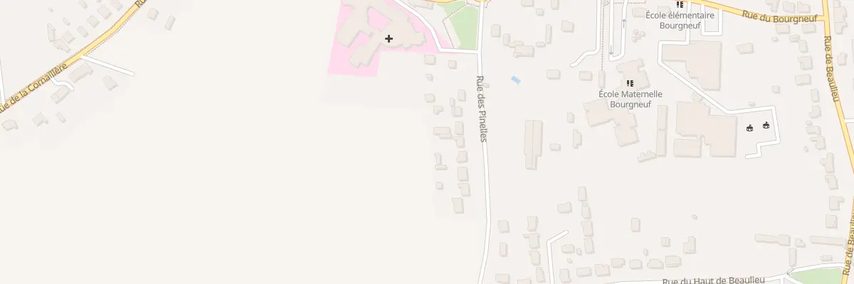 Plan du 194 Rue des Pinelles à Saint-Denis-en-Val
